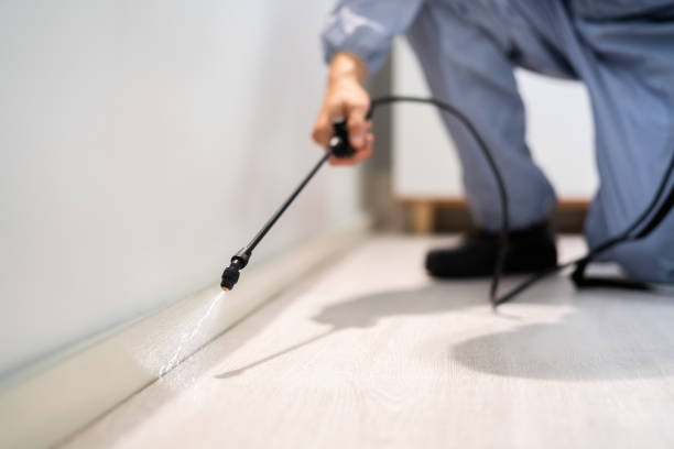 Bed Bug Pre-Treatment Preparation Assessment in Chase