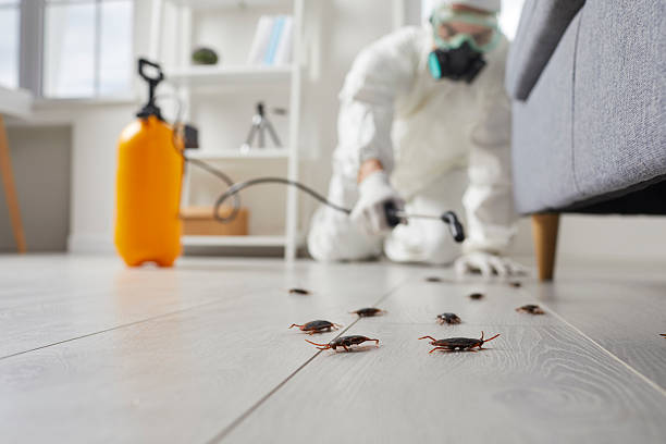 Post-Treatment Bed Bug Interceptor Monitoring in Chase