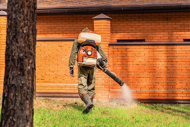 Bed Bug Clearance Verification and Documentation in Chase